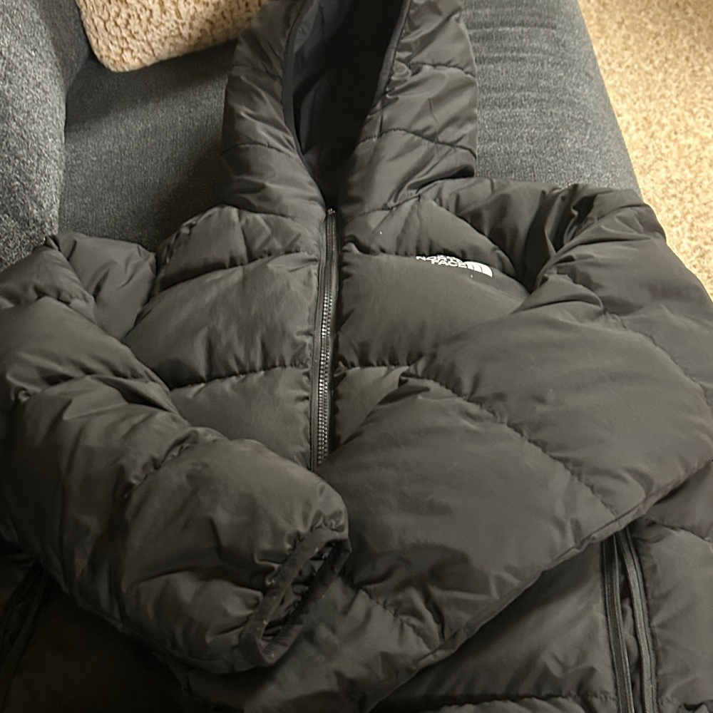 The North Face Black Hooded Puffer Jacket